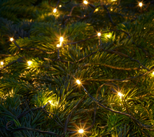 Ljusslinga 50 LED Batteridriven Stemning